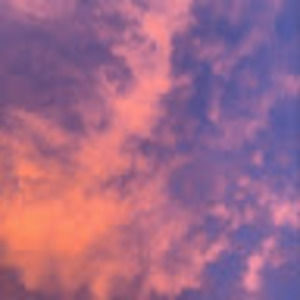 Meet your Posher, Elyse